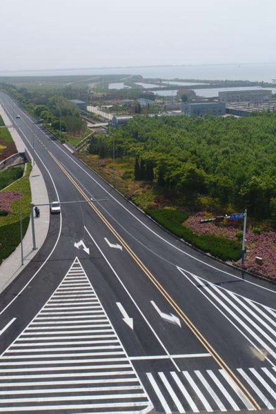武漢新區鳳凰湖環湖路道路排水工程結構及樁基礎